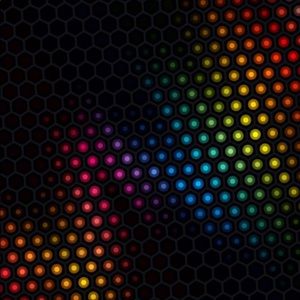 Meet your Posher, Elayna